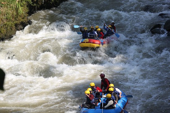 Rafting Bogowonto